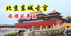 欧美大胸美女操逼中国北京-东城古宫旅游风景区